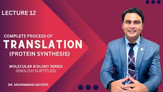 Translation  Protein Synthesis  Complete Process  tRNA  rRNA Lecture 12  Dr Muhammad Naveed [upl. by Anemolihp]