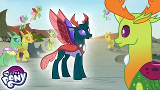 My Little Pony Bahasa Indonesia 🦄 Kakak Thorax  Episode Penuh [upl. by Washington]