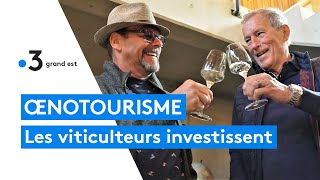 Le succès de lœnotourisme sur la route des vins dAlsace [upl. by Aikym]