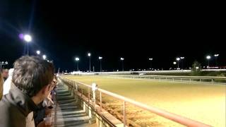 Horse Racing at Hollywood Casino [upl. by Enomar]