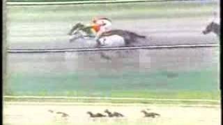 Clasico Hipodromo La Rinconada 1985 [upl. by Tnomel514]