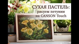 СУХАЯ ПАСТЕЛЬ рисуем петунии на CANSON Touch [upl. by Ahcsap]