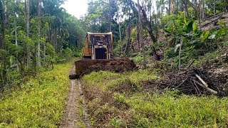 Abandoned plantation roads are repaired again using CATERPILLAR BULLDOZER D6R XL heavy equipment [upl. by Liagabba376]