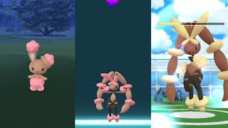 Shiny Buneary evolves into a Fighting Mega Lopunny Shiny Flower Crown Eevee Chansey in the wild [upl. by Kin]