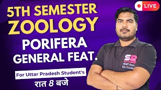 Lt04 Phylum Porifera General Feature  5th Semester Zoology Paper  01  Sumit Rana Sir [upl. by Anpas]