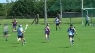 Camogie 2008 Gala All Ireland Senior Camogie Championship Compilation Part 3 of 3 [upl. by Akeber926]