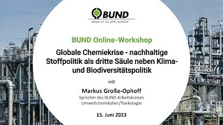 BUND OnlineWorkshop quotGlobale Chemiekrisequot vom 150623 [upl. by Jaquenetta]