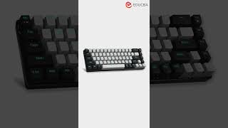 Types of Computer Keyboards  A Comprehensive Guide [upl. by Dnalyag981]