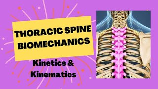 Thoracic Spine Structure and function exam oriented with notes [upl. by Ilyse802]