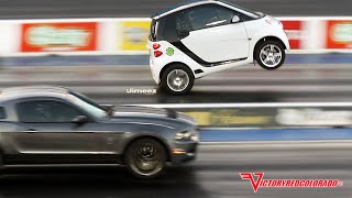 WILD WHEELSTANDING BLOWN SMART CAR GIVES SHELBY MUSTANG A SCARE [upl. by Borer519]