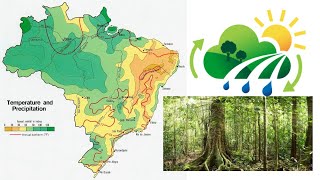 Landschap klimaat en vegetatie van Brazilië [upl. by Lally102]