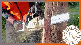 Mastering Chainsaws Your Ultimate Woodworking Companion [upl. by Eilahtan]