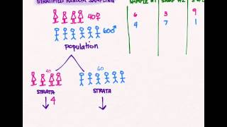 Sampling 03 Stratified Random Sampling [upl. by Amian874]