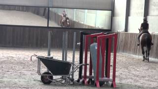 Dressage lesson with Nick Van Laer Autumn 2013 William part 3 [upl. by Standice]