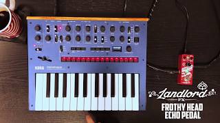 LANDLORD FX quotFrothy Headquot Echo with a Korg Monologue [upl. by Nivrek659]