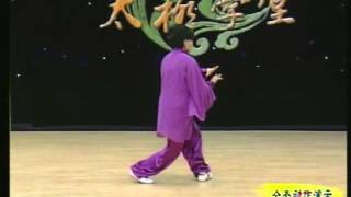 Sun Style 73 step Tai Chi [upl. by Ahsenrad662]