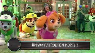 ¡Show de Paw Patrol en vivo  Morfi [upl. by Stockwell770]