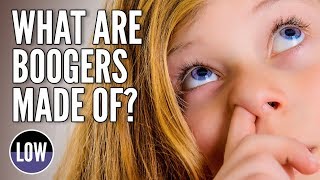 What are Boogers and Where Do They Come From [upl. by Yvonne]