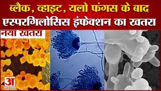 Black White Yellow Fungus के बाद Aspergillosis Infection का खतरा [upl. by High216]