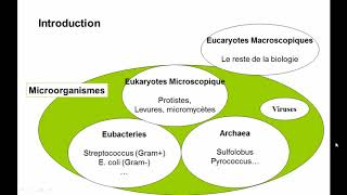 Microbiologie Générale 2019  CM1 [upl. by Yemarej]