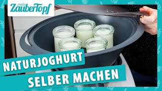 Wie macht man Joghurt selber 🤔  Die WICHTIGSTEN Tipps für den Thermomix® 🤩 [upl. by Adieno]