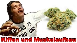 Kiffen und Muskelaufbau  Einfluss von THC im Cannabis auf die Muskeln [upl. by Nalaf766]