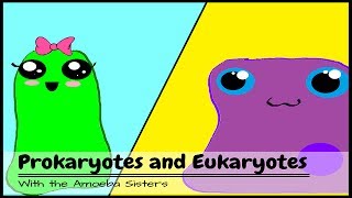 OLD VIDEO Prokaryotes and Eukaryotes [upl. by Hartmann911]