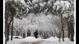 Salvatore Adamo  Tombe la neige Classical Guitar [upl. by Noneek313]