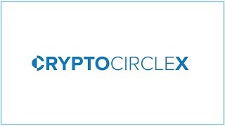 ICO Crypto Circle X CCX Чем интересно ICO [upl. by Llevra]