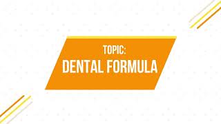 What is Dental Formula   How to write Dental Formula  Tooth Morphology Lectures Mini Series [upl. by Gaskin]