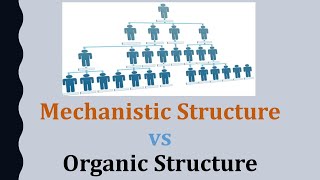 Mechanistic vs Organic Organizational Structure [upl. by Teleya]