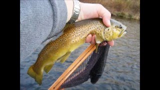 2015 Annual Fly Fishing Extravaganza Photo Montage [upl. by Anenahs]