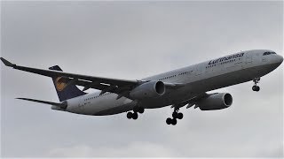 Lufthansa Airbus A330343 DAIKM LH407 Landing at Berlin Tegel Airport [upl. by Emerald]