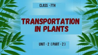 Transportation In Plants  Parts of plants  Class 7  Unit 2  science [upl. by Icnan421]