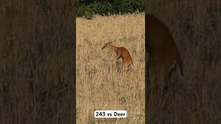 The Deer Hunter 1978 then and now How They Changed [upl. by Stanford]