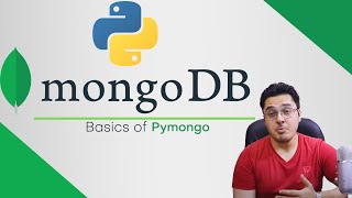 PyMongo Tutorial in Hindi  MongoDb in Python [upl. by Bernj]