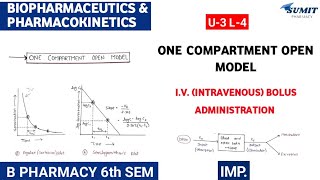 One compartment open model  Intravenous IV Bolus administration  Unit 1 Biopharmaceutics [upl. by Ahseem]