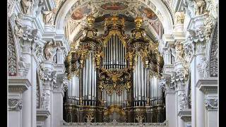 Ave Maria  Kirchenorgel  Bach [upl. by Mellitz]