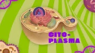 CITOPLASMA  CITOLOGIA  COM TINOSSY [upl. by Mac]