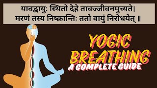 Yogic Breathing ll A powerful technique ll योगी की तरह श्वास लेना सीखो और अनगिनत सिद्धियां पाओ l [upl. by Aihsyak448]