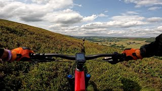 Rosedale  the fun single track section 4K  20240724 [upl. by Ahtnama]