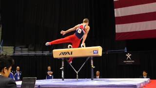 Dylan Ellsworth  Pommel Horse  2013 PampG Championships  Jr Men  Day 2 [upl. by Sehcaep650]