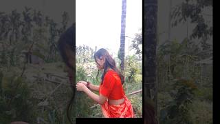 Newari dress 🥻shortvideo viralshort taniyanewar112 [upl. by Nawak]