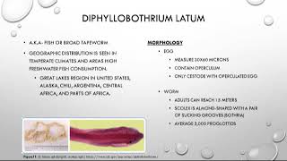 Cestoda 3 of 3 [upl. by Dimo]