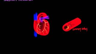 Ischemia and Infarction [upl. by Namsaj643]