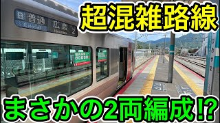 【超混雑路線で2両編成⁉︎】可部線の普通列車に乗ってみた [upl. by Clywd582]