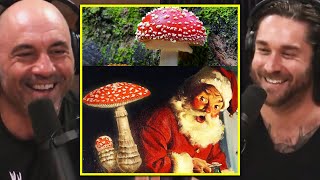 Joe Rogan Did SANTA Come From Magic MUSHROOMS WILD Origin Story [upl. by Amatruda212]