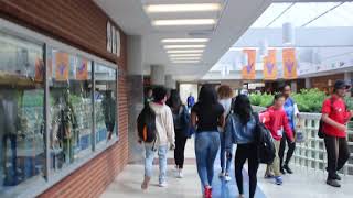 Bowie High School Arlington 3 [upl. by Carmena]