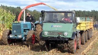 HANOMAG BRILLANT 700 mit Mengele MaisBlitz MB350 Turbo Maishäcksler  MAISERNTE  MAISHÄCKSELN 2024 [upl. by Dnomsed]