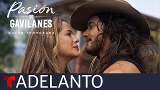 RESUMEN Pasión de Gavilanes 🔴 │Resumen de Novela 69 22 [upl. by Moss927]